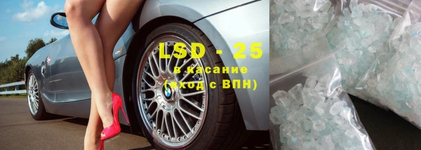 крисы Магадан