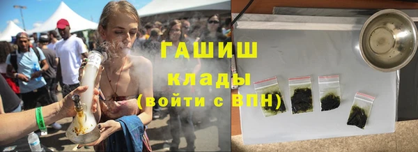крисы Магас