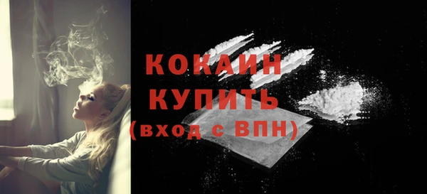 крисы Магас