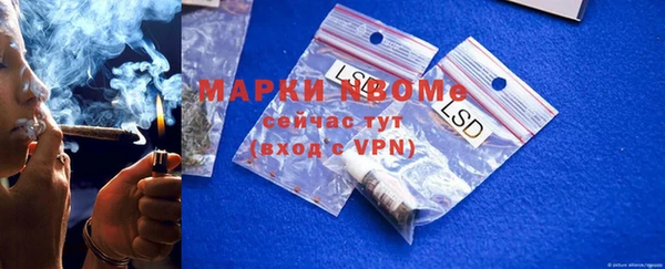 крисы Магас