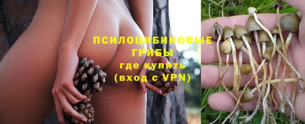 стафф Медногорск