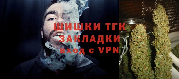 крисы Магадан