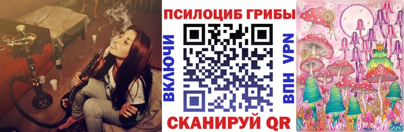Псилоцибиновые грибы мицелий Юрьевец